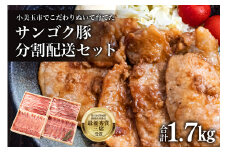 サンゴク豚（分割配送セット） 合計1.7kg（850g×2回）【定期便】 しゃぶしゃぶ 焼き肉  豚肉 豚バラ肉 ロース 小分け 真空パック  しゃぶしゃぶ肉 焼肉用 ブタ肉 国産 茨城県産 ギフトプレゼント 高級部位 2-A
