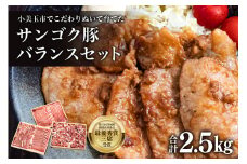 サンゴク豚（バランスセット） 合計2.5kg しゃぶしゃぶ 焼き肉  豚肉 豚バラ肉 ロース 小分け 真空パック  しゃぶしゃぶ肉 焼肉用 ブタ肉 国産 茨城県産 ギフト プレゼント 高級部位 2-B