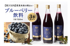 果汁50％ブルーベリー飲料3本セット ブルーベリー ブルーベリー飲料 フルーツ 果物 フルーツジュース ジュース ビタミンE アントシアニン 栄養 目にいい 健康 美容  瞳の健康 ギフト 贈り物 茨城県産 人気 プレゼント セット ドリンク 9-A