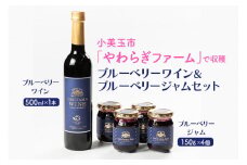 小美玉ブルーベリーワイン1本＆ブルーベリージャム4個セット ブルーベリー ワイン ブルーベリーワイン ジャム ブルーベリージャム フルーツ 果物 ビタミンE アントシアニン 栄養 目にいい 健康 美容 ギフト 贈り物 茨城県産 プレゼント セット お酒 9-B
