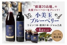 小美玉ブルーベリーワイン1本・果汁50％ブルーベリー飲料1本＆ブルーベリージャム2個セット ブルーベリー ワイン ブルーベリーワイン ジャム ブルーベリージャム フルーツ ビタミンE ドリンク 栄養 目にいい 美容 ギフト 贈り物 茨城県産 セット お酒 9-C