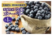 冷凍ブルーベリー 1kg ブルーベリー 冷凍 冷凍ブルーベリー フルーツ 果物 冷凍フルーツ 冷凍果物 スムージー ジュース ビタミンE アントシアニン ジャム 目にいい 健康 美容 食物繊維 瞳の健康 ギフト 贈り物 茨城県産 人気 プレゼント 9-I 【6月下旬から順次発送予定】