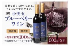 小美玉ブルーベリーワイン2本セット ブルーベリー ワイン ブルーベリーワイン フルーツ 果物 ビタミンE アントシアニン 栄養 目にいい 健康 美容 ギフト 贈り物 茨城県産 プレゼント セット お酒 美味しい お祝い 9-F