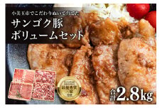サンゴク豚（ボリュームセット） 合計2.8kg しゃぶしゃぶ 焼き肉  豚肉 豚バラ肉 ロース 小分け 真空パック  しゃぶしゃぶ肉 焼肉用 ブタ肉 国産 茨城県産 ギフト プレゼント 冷蔵 高級部位 2-C