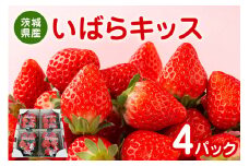 【数量限定・期間限定】 いばらキッス 4パック　約1㎏ 茨城県限定品種 茨城県オリジナル品種 いちご イチゴ 苺 フルーツ 果物 くだもの 国産 茨城県産 高糖度 甘い 酸味 濃厚 ジューシー スイーツ作り ケーキ作り お菓子作り 17-P