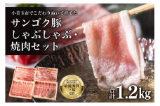 サンゴク豚 しゃぶしゃぶ・焼き肉セット 1.2kg 豚肉 豚バラ肉 ロース 小分け 真空パック  しゃぶしゃぶ肉 焼肉用 1.2キロ 1200g ブタ肉 国産 茨城県産 ギフトプレゼント 高級部位 贈り物 贈答用 内祝い 2-K