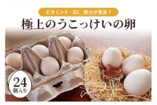 平飼い極上のうこっけいの卵　24個（20＋補償4個） たまご タマゴ 玉子 烏骨鶏 烏骨鶏の卵 安全 テレビ TV マニアさん 健康 美容 ご飯 すき焼き 目玉焼き 卵焼き 玉子焼き たまご焼き 卵かけご飯 卵かけごはん TKG 卵 37-A