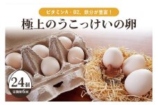 平飼い極上のうこっけいの卵　24個（20＋補償4個）×定期便6回【6ヶ月定期便】卵かけご飯 卵かけごはん TKG 卵 たまご タマゴ 玉子 烏骨鶏 烏骨鶏の卵 安全 テレビ TV マニアさん 健康 美容 ご飯 すき焼き 目玉焼き 卵焼き 玉子焼き たまご焼き 37-B