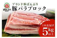 ブランド豚「ばんぶぅ」豚バラブロック1本 ばんぶぅ 豚肉 豚バラ肉 ブロック肉 しゃぶしゃぶ 焼き肉 豚バラ 真空パック しゃぶしゃぶ肉 焼肉用 ぶた肉 ブタ肉 国産 茨城県産 ギフト プレゼント 冷蔵 高級部位 ブランド豚 42-D