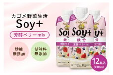 【お申込は1/29まで】カゴメ野菜生活Ｓｏｙ＋芳醇ベリーｍｉｘ３３０ｍｌ １２本入 カゴメ 野菜ジュース カゴメ野菜 野菜生活 カゴメ野菜ジュース ベリー ソイ soy 豆乳 美容 健康 kagome KAGOME 贈り物 ギフト パック 紙パック イソフラボン 芳醇ベリー ミックスジュース ４４－Ａ