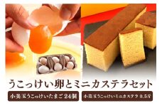 小美玉ミニカステラとうこっけい卵　24個（20＋補償4個）セット カステラ かすてら 烏骨鶏 卵 うこっけい 鶏卵 高級卵 高級 国産 ギフト スイーツ 菓子 焼き菓子 焼菓子 御贈答 お返し たまご 玉子 烏骨鶏の卵 安全 マニアさん 健康 美容 卵焼き 卵かけごはん TKG 37-N