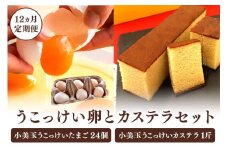 小美玉カステラとうこっけい卵　24個（20＋補償4個）×定期便12回セット【12カ月定期便】 カステラ かすてら 烏骨鶏 卵 うこっけい 鶏卵 高級卵 高級 国産 ギフト スイーツ 菓子 焼き菓子 焼菓子 御贈答 お返し たまご 玉子 烏骨鶏の卵 安全 マニアさん 健康 美容 卵かけごはん TKG 37-O