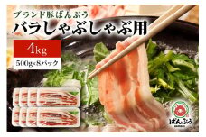 ブランド豚「ばんぶぅ」小分け 豚バラしゃぶしゃぶ用 4kg（500g×8パック） 冷凍便 4キロ  たっぷり 豚肉 豚バラ肉 豚バラスライス肉 豚しゃぶ 薄切り肉 うす切り肉 お鍋用 すき焼き用 すきやき用 ぶた肉 ブタ肉 国産 茨城県産 ギフト プレゼント お祝い 42-N