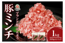 ブランド豚「ばんぶぅ」小分け ミンチ 1kg（500g×2パック） 冷凍便 1キロ  たっぷり 豚肉 豚ミンチ 豚ひき肉 豚挽き肉 豚挽肉 キーマカレー ミンチカツ メンチカツ ハンバーグ 餃子 ギョウザ ぎょうざ シュウマイ 肉団子 ミートボール 麻婆 マーボー ぶた肉 ブタ肉 国産 茨城県産 ギフト プレゼント お祝い ご褒美 42-AQ