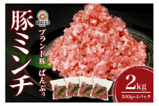 ブランド豚「ばんぶぅ」小分け ミンチ 2kg（500g×4パック） 冷凍便 2キロ  たっぷり 豚肉 豚ミンチ 豚ひき肉 豚挽き肉 豚挽肉 キーマカレー ミンチカツ メンチカツ ハンバーグ 餃子 ギョウザ ぎょうざ シュウマイ 肉団子 ミートボール 麻婆 マーボー ぶた肉 ブタ肉 国産 茨城県産 ギフト プレゼント お祝い ご褒美 42-AR