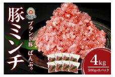 ブランド豚「ばんぶぅ」小分け ミンチ 4kg（500g×8パック） 冷凍便 4キロ  たっぷり 豚肉 豚ミンチ 豚ひき肉 豚挽き肉 豚挽肉 キーマカレー ミンチカツ メンチカツ ハンバーグ 餃子 ギョウザ ぎょうざ シュウマイ 肉団子 ミートボール 麻婆 マーボー ぶた肉 ブタ肉 国産 茨城県産 ギフト プレゼント お祝い ご褒美 42-AS