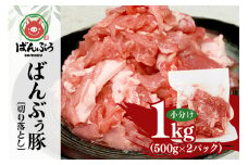 ブランド豚「ばんぶぅ」小分け 切り落とし 1kg（500g×2パック） 冷凍便 1キロ  たっぷり 豚肉 豚切り落とし 豚切落し 豚こま切れ 豚小間切れ 豚細切れ 豚こまぎれ ぶた肉 ブタ肉 国産 茨城県産 ギフト プレゼント お祝い ご褒美 42-AT