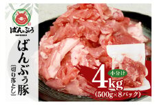 ブランド豚「ばんぶぅ」小分け 切り落とし 4kg（500g×8パック） 冷凍便 4キロ  たっぷり 豚肉 豚切り落とし 豚切落し 豚こま切れ 豚小間切れ 豚細切れ 豚こまぎれ ぶた肉 ブタ肉 国産 茨城県産 ギフト プレゼント お祝い ご褒美 42-AV