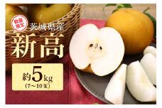 【数量限定 / 夏季限定】 梨（新高） 約5kg 梨 なし ナシ 日本梨 にいたか ニイタカ 17-Y 【9月中旬～下旬発送予定】