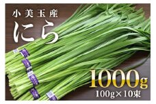 【数量限定 / 期間限定】 小美玉市産にら 100g×10 にら ニラ 生 香味 野菜 料理 惣菜 おかず 1kg 茨城 国産 17-AA ＜5月～11月発送予定＞