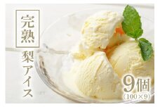 完熟梨アイス 100ml×9個 数量限定 豊水 ホウスイ ほうすい アイスクリーム アイス あいす スイーツ 梨 なし ナシ 定番 人気 贅沢 53-A