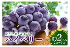 【数量限定・期間限定】 ハイベリー 約2kg（2房～3房） ぶどう ブドウ 大粒 皮ごと食べられる 【9月上旬〜9月下旬順次発送予定】 54-B