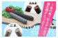 1本の食べ応えが十分で満足感がたっぷり！　BOTANICAL　SWEETS