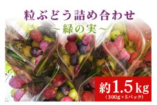 【数量限定・期間限定】粒ぶどう詰め合わせ～縁の実～ 約1.5kg シャインマスカット含む2品種以上 食べくらべ 食べ比べ ぶどう ブドウ セット 詰合せ 詰め合せ 詰め合わせセット シャインマスカット ゴールドフィンガー マスカ・サーティーン 紅環 べにたまき クイーンセブン クイーンニーナ ヌーベルローズ マイハート マスカット・ノワール BKシードレス 【9月下旬以降発送予定】 56-A