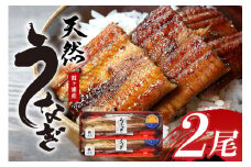 【数量限定】 霞ヶ浦産天然うなぎ 蒲焼き 2尾（100～130g×2） 国産 天然 真空パック 真空 パック たれ タレ 冷凍 茨城県産 かば焼き 蒲焼 国産うなぎ 国産ウナギ 国産鰻 国産天然うなぎ 国産天然ウナギ 国産天然鰻 内祝い ギフト プレゼント お祝い ご褒美 土用の丑の日 おいしい 簡単 霞ケ浦 49-B