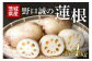 野口誠の蓮根　約4kg