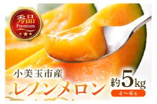 【数量限定・期間限定】 おみたまレノンメロン 赤肉 約5kg 4玉～6玉 メロン 秀品 めろん 果物 フルーツ 茨城県産 52-B 【4月20日まで受付・4月～5月上旬順次発送予定】