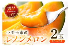 【数量限定・期間限定】 おみたまレノンメロン 赤肉 2玉 メロン 秀品 めろん 果物 フルーツ 茨城県産 52-C 【4月20日まで受付・4月～5月上旬順次発送予定】