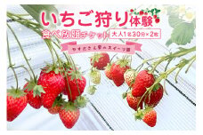 やすださん家のスイーツ園 いちご狩り体験【ペアチケット】 大人1名30分食べ放題チケット×2 19-G