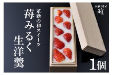 【数量限定】苺みるく生洋羹 1個 66-A ＜12月から5月頃発送予定＞