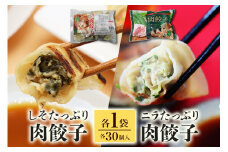 【数量限定】 ニラたっぷり肉餃子・しそたっぷり肉餃子 各1袋 ニラたっぷり肉餃子30個 しそたっぷり肉餃子30個 ぎょうざ ギョウザ 餃子 ニラ にら しそ シソ ローズポーク 豚肉 小美玉産 茨城県産 名産 冷凍 17-AP