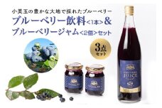 果汁50％ブルーベリー飲料1本＆ブルーべリ－ジャム2個セット ブルーベリー ジュース ジャム ブルーベリージャム ブルーベリージュース フルーツ ビタミンE ドリンク 栄養 目にいい 美容 ギフト 贈り物 茨城県産 セット 詰め合わせ お祝い 美味しい 9-K