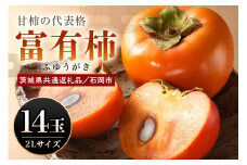 【数量限定・先行予約】 富有柿 2L 14玉 《11月13日～12月10日発送予定》 柿 かき カキ 果物 くだもの フルーツ (茨城県共通返礼品 石岡市) 67-B
