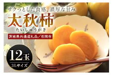 【数量限定・先行予約】 太秋柿 3L 12玉 《11月13日～12月10日発送予定》 柿 かき カキ 果物 くだもの フルーツ (茨城県共通返礼品 石岡市) 67-C