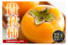 【数量限定・先行予約】 貴秋柿 3L 12玉 《10月～11月発送予定》 柿 かき カキ 果物 くだもの フルーツ (茨城県共通返礼品 石岡市) 67-D