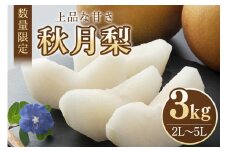 【数量限定・先行予約】 梨 秋月 3kg 2L～5L 6～9玉 なし ナシ あきづき アキヅキ 果物 フルーツ 国産 【9月10日～10月末発送予定】 70-C