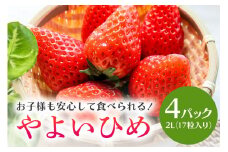 【数量限定・先行予約】 やよいひめ 2L（17粒入り）×4パック 1kg以上 いちご イチゴ 苺 フルーツ 果物 くだもの ＜2026年1～3月発送予定＞ （茨城県共通返礼品 石岡市） 71-A