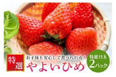【数量限定・先行予約】 やよいひめ 特選15玉 2パック いちご イチゴ 苺 フルーツ 果物 くだもの ＜2026年1～3月発送予定＞ （茨城県共通返礼品 石岡市） 71-C
