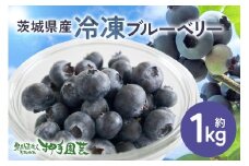 冷凍ブルーベリー 約1kg ブルーベリー 冷凍 フルーツ 果物 くだもの 冷凍フルーツ 冷凍果物 完熟 新鮮 目にいい 健康 美容 人気 ギフト 贈り物 プレゼント 茨城県産 55-C