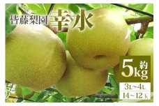 【数量限定・先行予約】【皆藤梨園】幸水（約5kg/3L～4L/14～12玉） 梨 幸水 果物 なし ナシ こうすい くだもの フルーツ 【8月上旬以降発送予定】 75-A