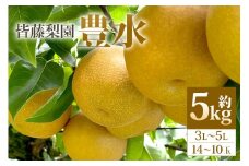 【数量限定・先行予約】【皆藤梨園】豊水（約5kg/3L～5L/14～10玉） 梨 豊水 果物 なし ナシ ほうすい くだもの フルーツ 【8月下旬以降発送予定】 75-B
