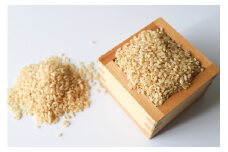 【数量限定】 ひとめぼれ 玄米 10kg（茨城県共通返礼品） お米 精米 玄米 白米 ごはん ご飯 単一原料米 茨城県産 美容 健康 69-I