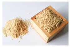 【数量限定】 ミルキークイーン 玄米 30kg お米 精米 玄米 白米 ごはん ご飯 単一原料米 茨城県産 美容 健康 69-P