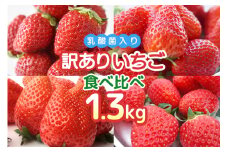 訳あり山盛り4種類 サイズ違い品種違いのいちご1.3kg いちご 乳酸菌 イチゴ 苺 フルーツ 果物 くだもの 健康 パック セット 訳あり 訳アリ 山盛り サイズ違い 品種違い 紅ほっぺ ほしうらら よつぼし かおり野 茨城 国産 【2月～5月順次発送予定】 19-AH