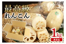【最高級Bigれんこん珠美】真空品 1kg 期間限定 れんこん 真空 パック 保存 レンコン 蓮根 贈答 お祝い 贈り物 国産 77-C
