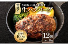 生ハンバーグ120g×12個 常陸牛 100％ 516